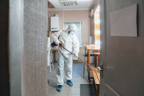 Best Mold Remediation for Vacation Homes  in Port Hueneme, CA